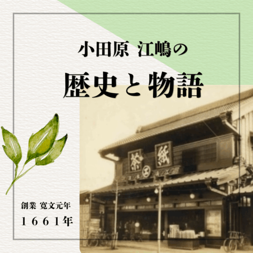 創業365年 小田原 江嶋の歩み