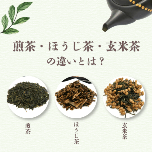 煎茶・ほうじ茶・玄米茶の違いとは？